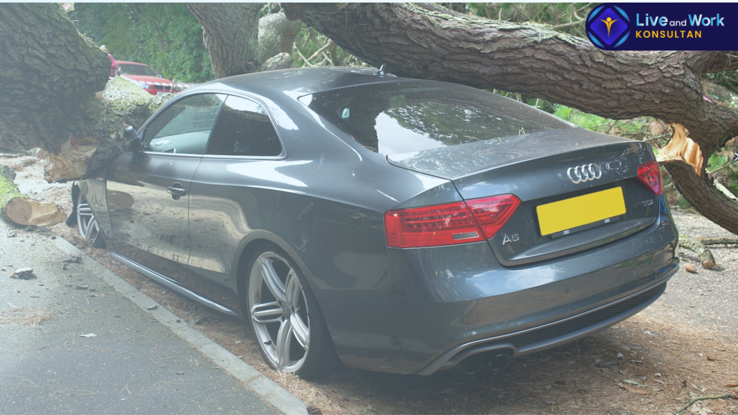 Segera asuransikan kendaraan di konsultan live and work