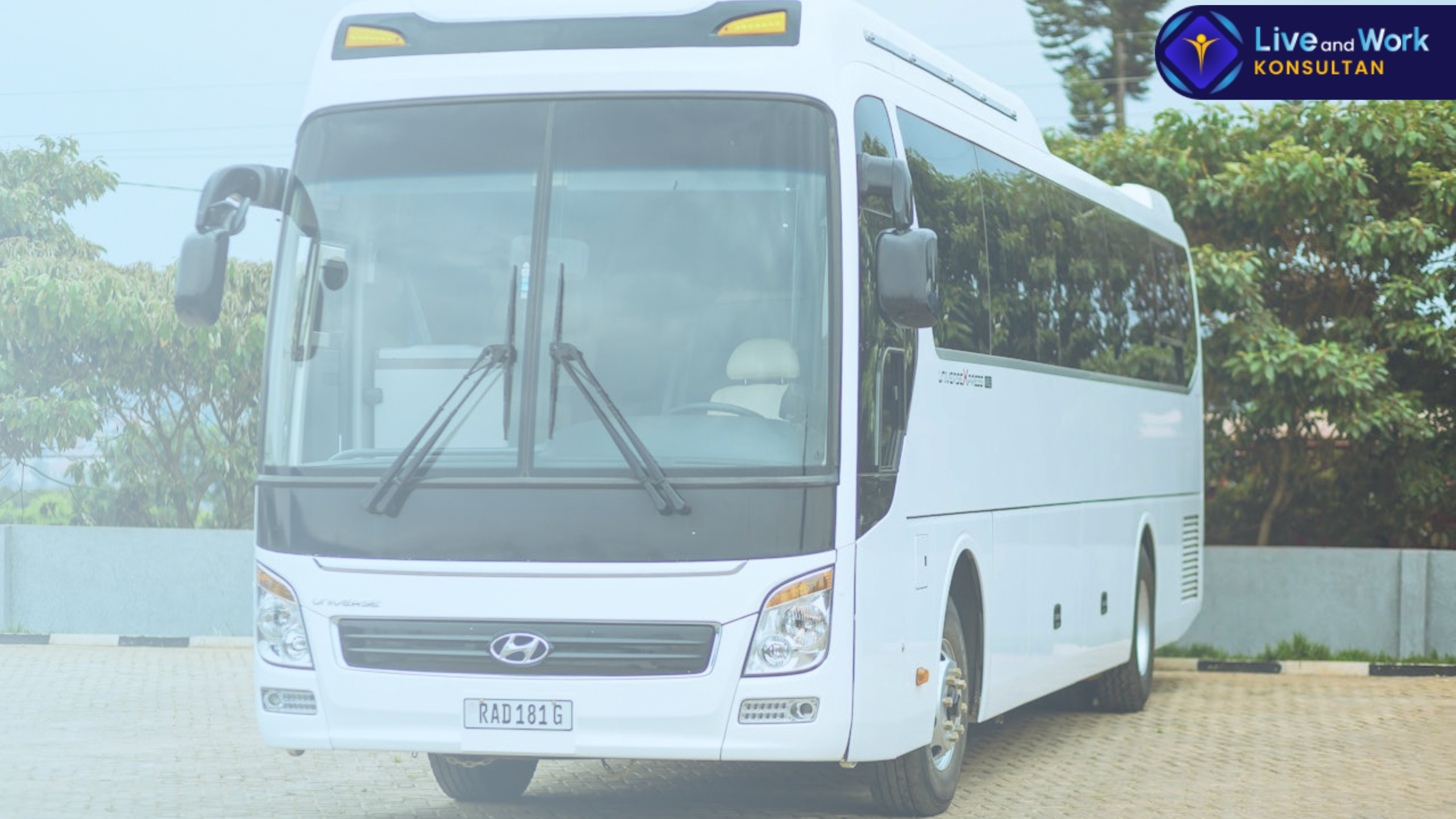Segera Sewa Bus dan Truk di Konsultan Live and Work