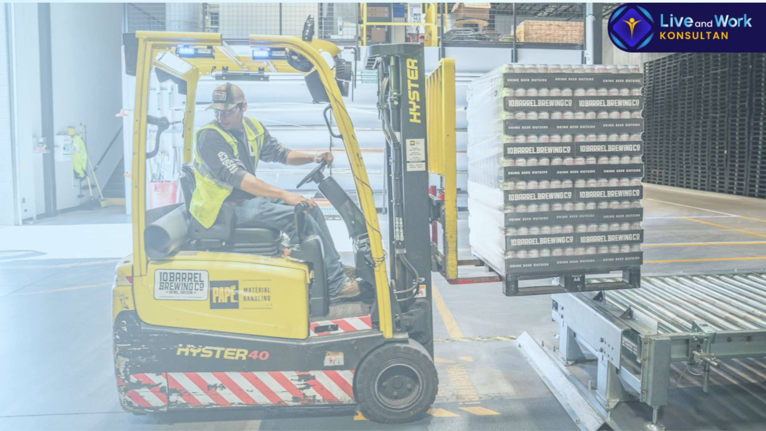 Sewa Crane dan Forklift di Konsultan Live and Work