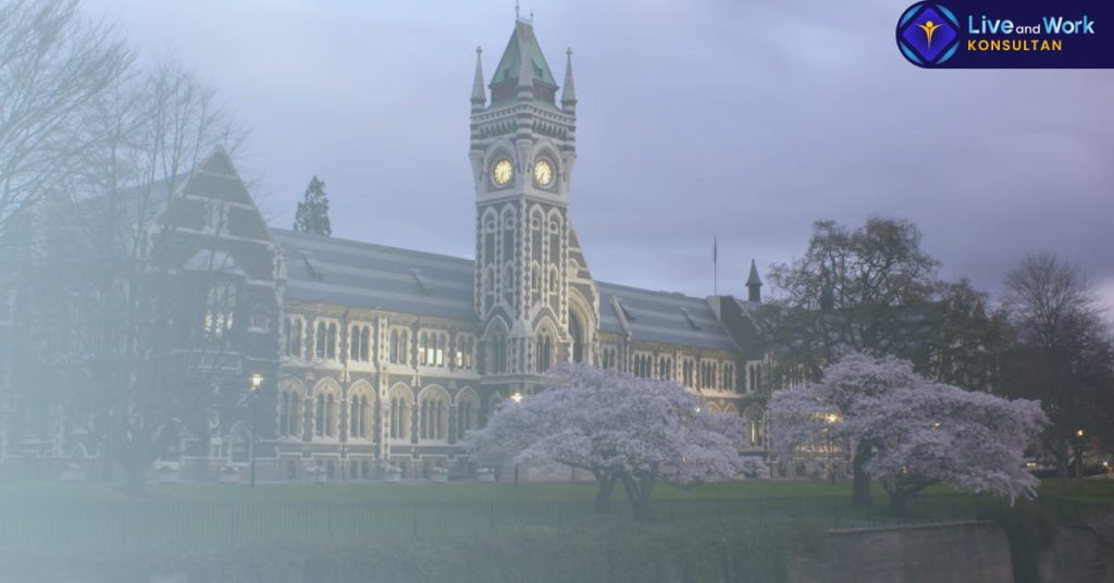 Infografis langkah mudah pengurusan visa pelajar dan pendaftaran beasiswa untuk Kuliah Selandia Baru 2026 bersama konsultan live and work.