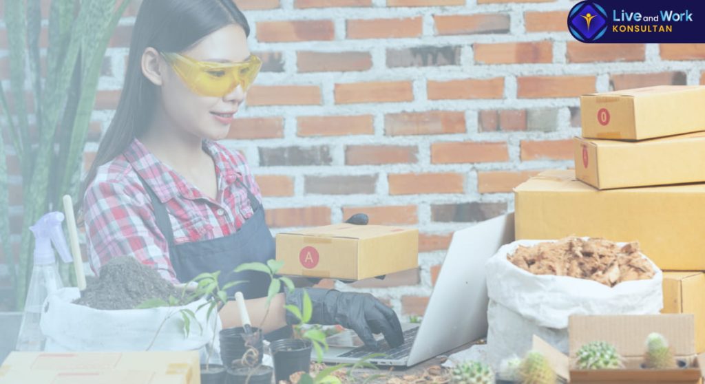 Proses pembukuan usaha kecil oleh konsultan live and work.