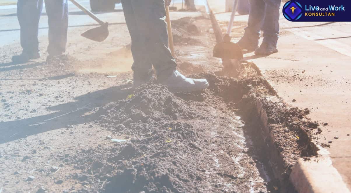 Mesin penggali parit otomatis untuk layanan Jasa Sewa Trenchers profesional | Konsultan Live and Work