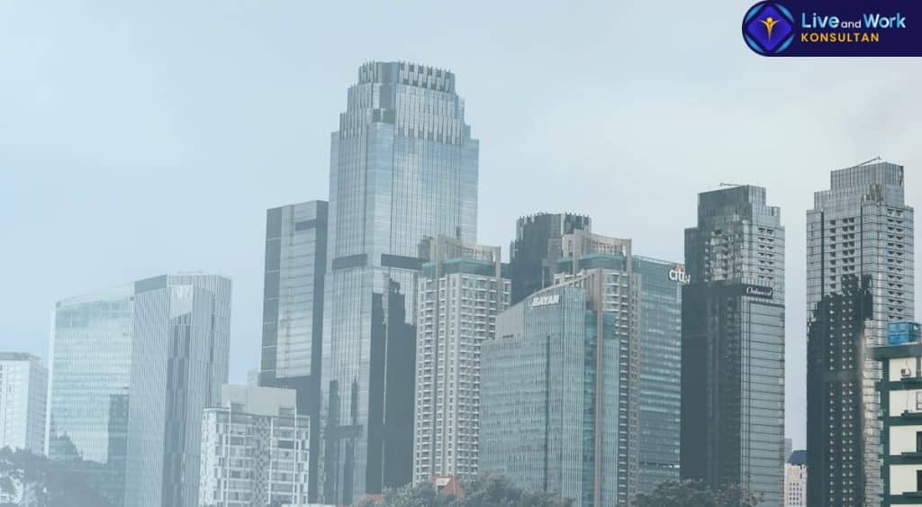 Infografis langkah-langkah Pendaftaran NPWP Perusahaan badan hukum (PT, CV, Yayasan) di Indonesia tahun 2026 yang dikawal oleh konsultan live and work.