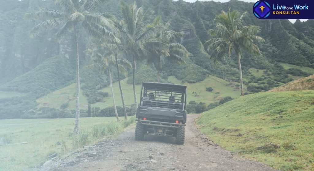 Layanan sewa mobil Bali terpercaya oleh Konsultan Live and Work.