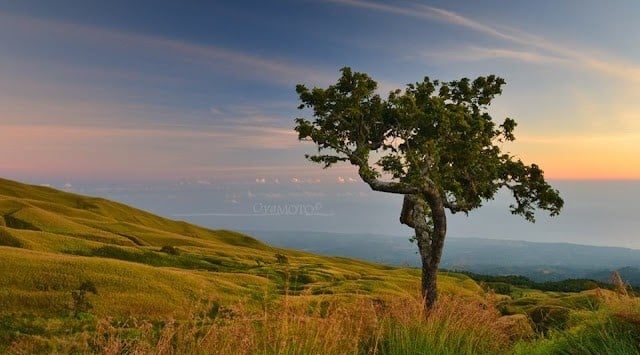 Padang Savana Sembalun