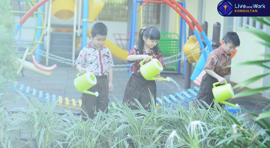 Infografis langkah-langkah merencanakan Asuransi Pendidikan Sejak Dini dan kaitannya dengan persiapan karir global yang dipandu oleh konsultan live and work.