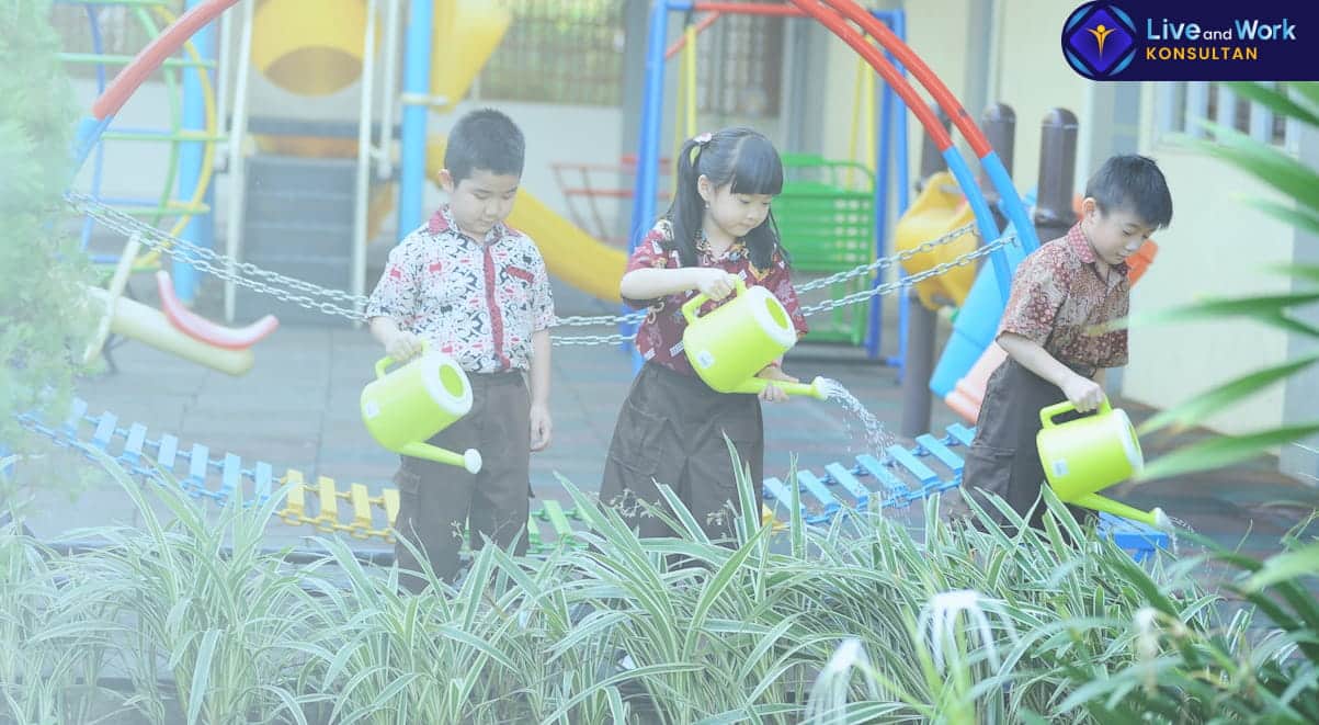 Infografis langkah-langkah merencanakan Asuransi Pendidikan Sejak Dini dan kaitannya dengan persiapan karir global yang dipandu oleh konsultan live and work.