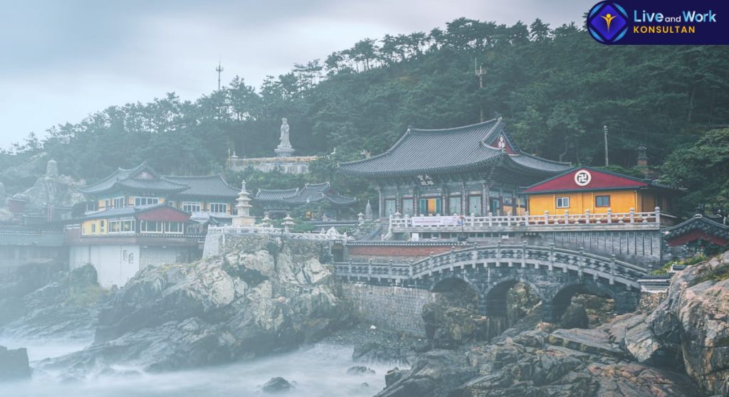 Panduan langkah demi langkah cara mengurus visa Korea Selatan oleh konsultan live and work.