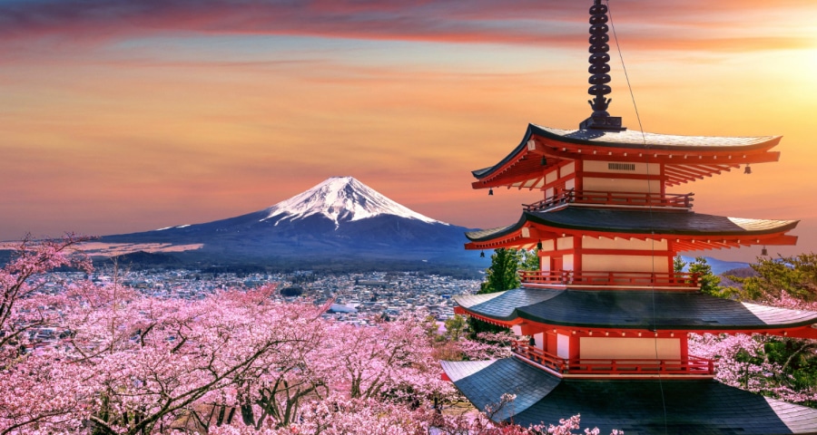 Study Tour ke Japan Bersama Konsultan Live and Work