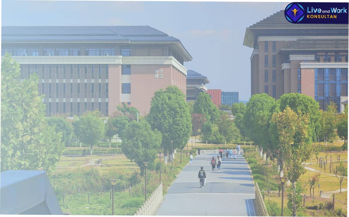 Panduan beasiswa kuliah ke China 2026 - konsultan live and work